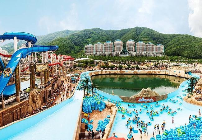 홍천 비발디파크 오션월드 2026 여름 완벽 가이드｜아이부터 어른까지 하루가 모자란 국내 대....