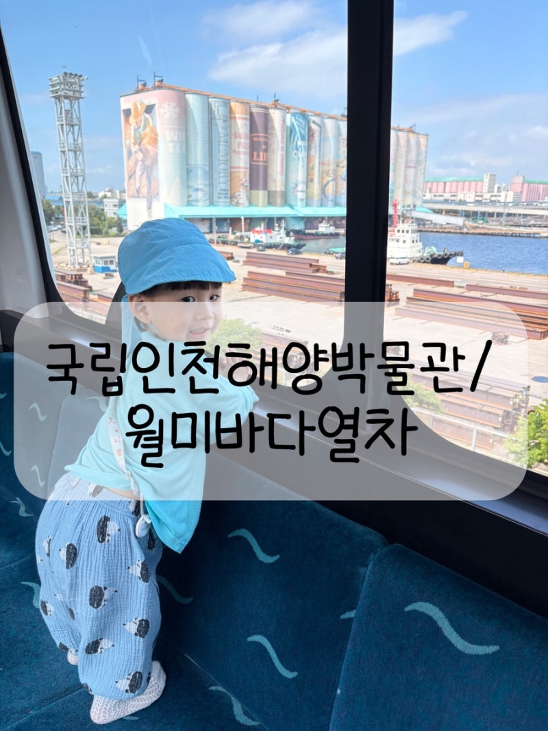 국립인천해양박물관 어린이 박물관 예약, 월미바다열차 탑승