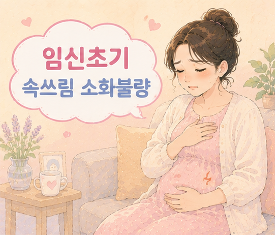임신초기 속쓰림 소화불량 고생 경험, 울렁거림까지 완전 힘듦