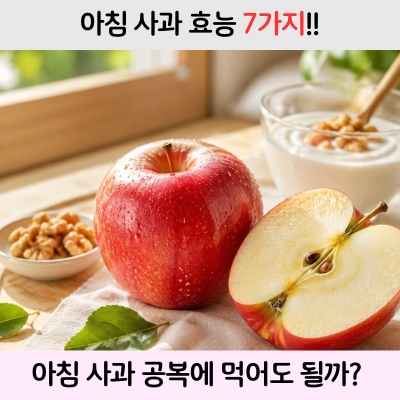 아침 사과 효능 7가지 | 공복에 먹어도 될까? 부작용과 먹는 시간