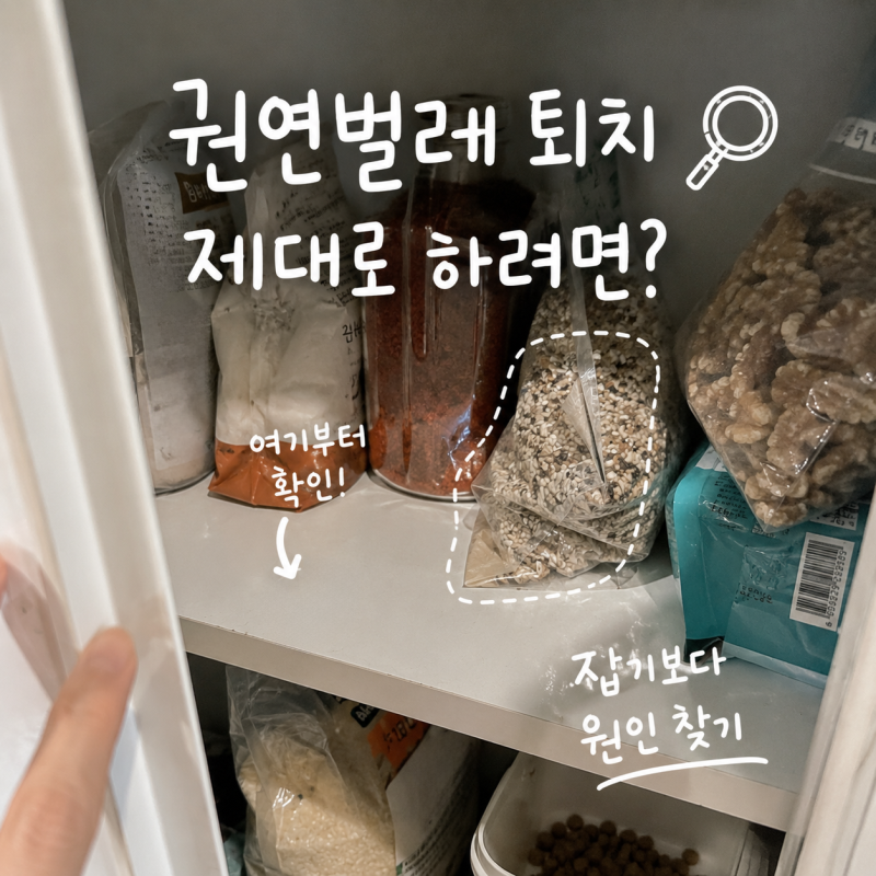 권연벌레 퇴치 제대로 하려면? 생기는 이유부터 다시 안 나오게 하는 법