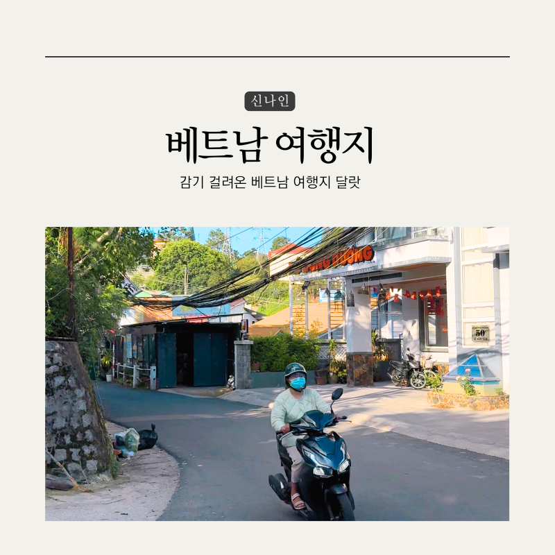 감기 걸려온 베트남 여행지 달랏