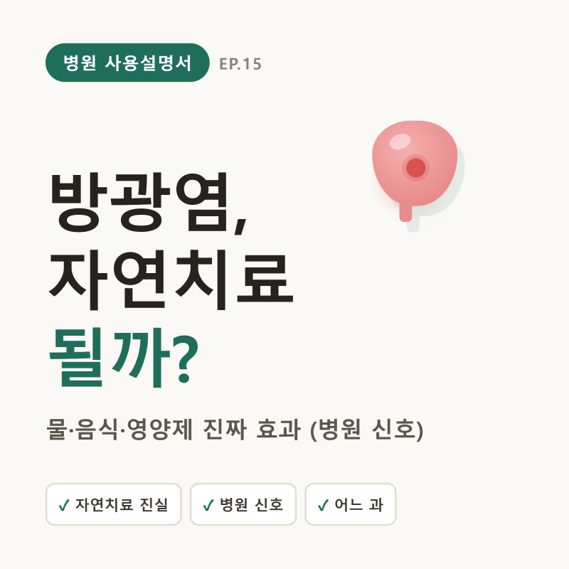방광염 자연치료, 좋은 음식·영양제로 나을까? — 증상·약·항생제와 병원 신호 (여자·혈뇨)