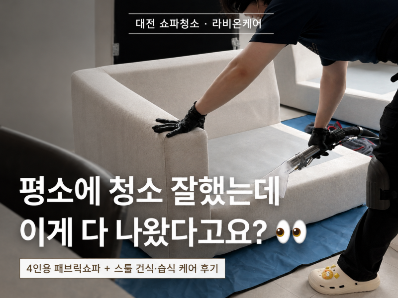 대전 쇼파청소 라비온케어 건식·습식 직접 받아본 후기