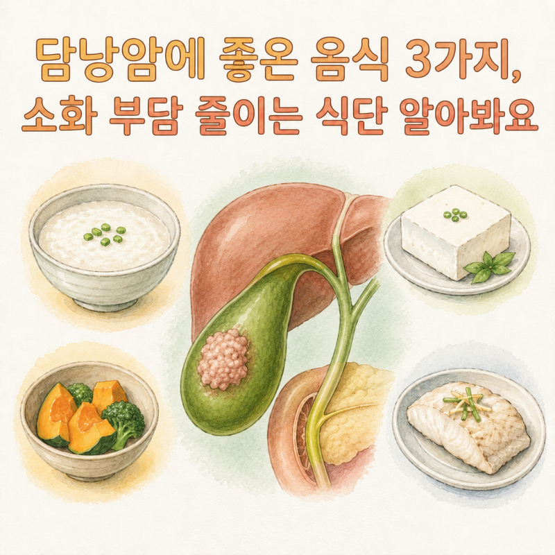 담낭암에 좋은 음식 3가지, 소화 부담 줄이는 식단 알아봐요