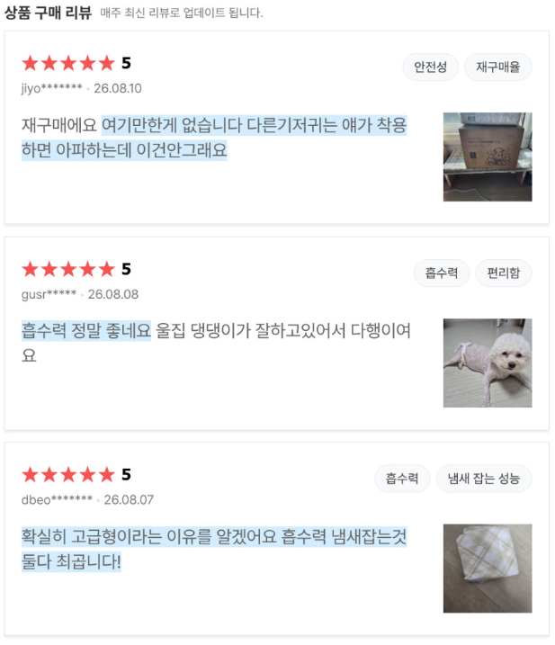 반려세상 강아지 기저귀 50매, 흡수력부터 사이즈 후기까지 정리