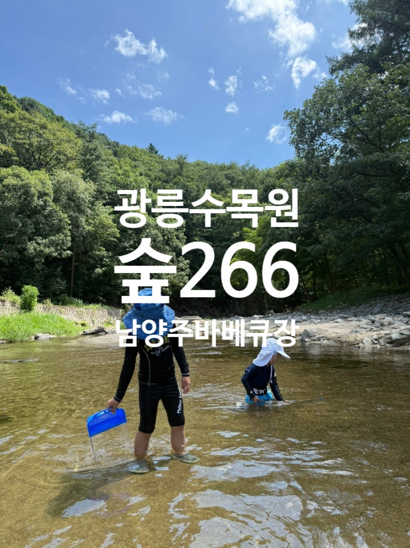 남양주바베큐 숲266 셀프바베큐장 남양주 진접 계곡 추천