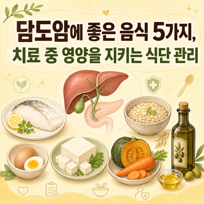 담도암에 좋은 음식 5가지, 치료 중 영양을 지키는 식단 관리