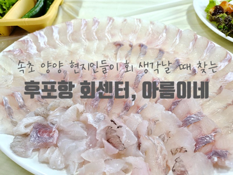 양양로컬맛집 회센터 후포항 횟집 아름이네 가성비모둠회