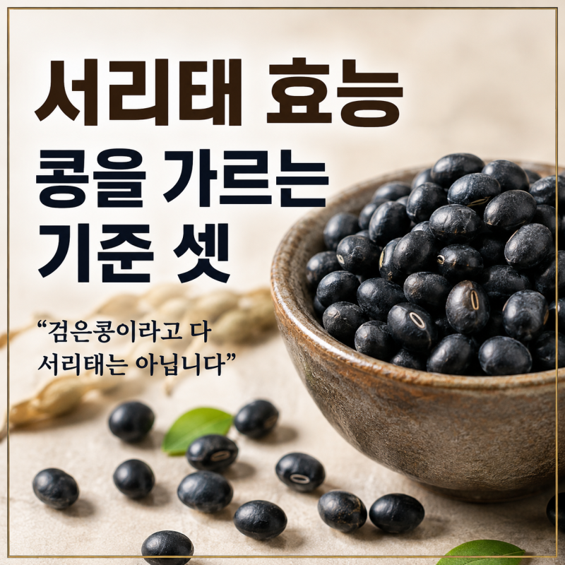 "검은콩이라고 다 서리태는 아닙니다" 서리태효능과 콩을 가르는 기준 셋