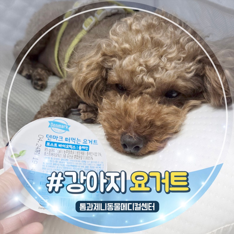 강아지 요거트 급여, 먹어도 될까요?
