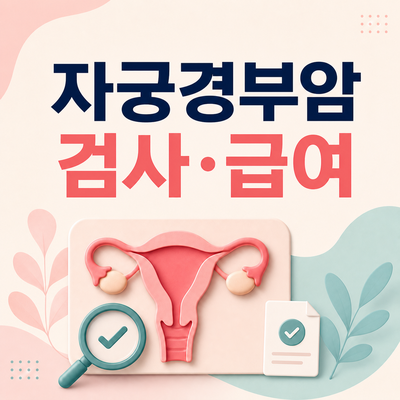 2026 자궁경부암 검사비용·급여기준｜세포검사·HPV·질확대경·조직검사
