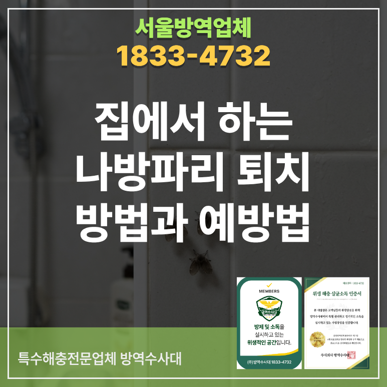 집에서 하는 나방파리퇴치 방법과 예방법