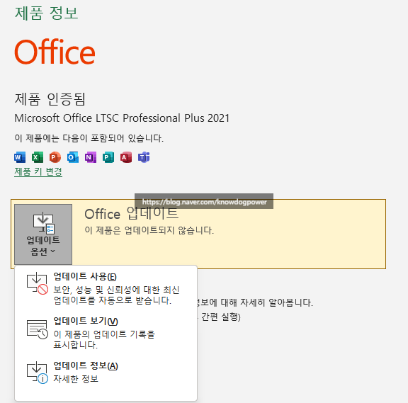 MS Office 2021 Pro 무료 설치 및 정품인증