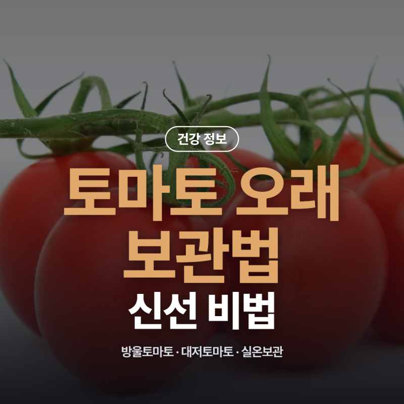 토마토 오래 보관법 방울토마토 대저토마토 냉장 냉동 실온 보관법 총정리