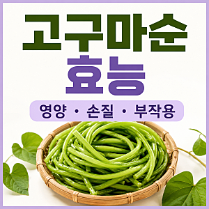 고구마순 효능부터 부작용까지! 40대 건강 식재료 추천