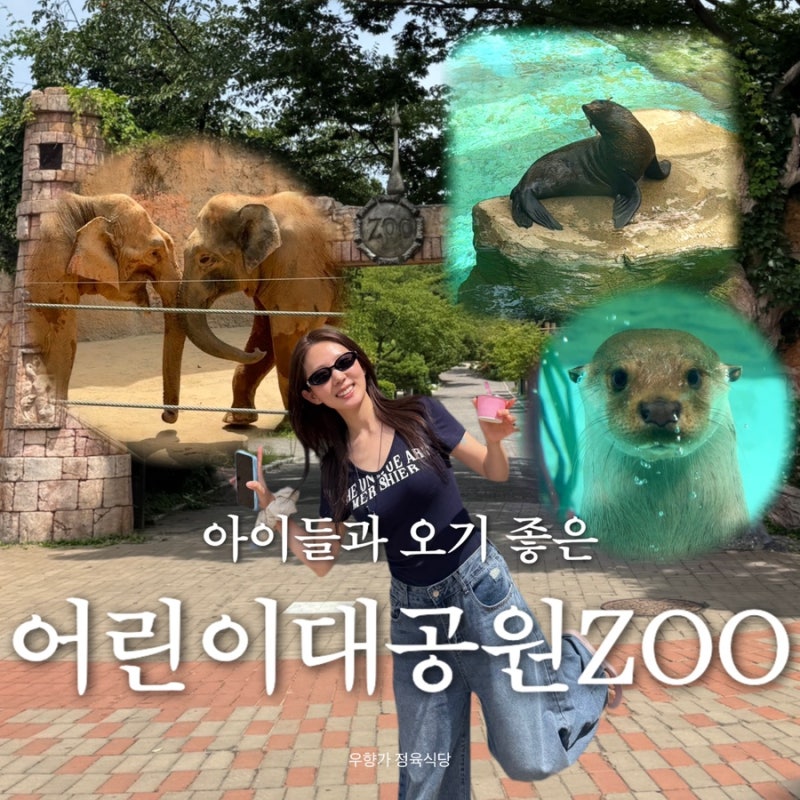 서울 어린이대공원 동물원 | 입장료 주차 정보와 인기 동물 (코끼리 수달 물개)