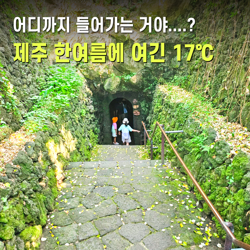 제주 한림공원 제주시 여름에 가볼만한곳 제주도동굴 쌍용굴 협재굴