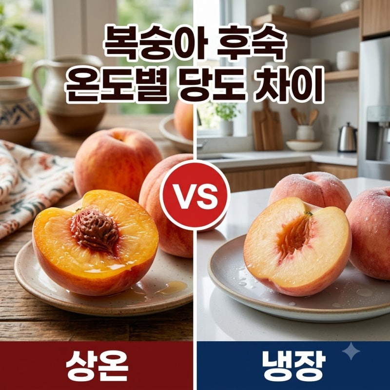 복숭아 후숙 보관 온도별 기간과 당도 변화 완전 정리