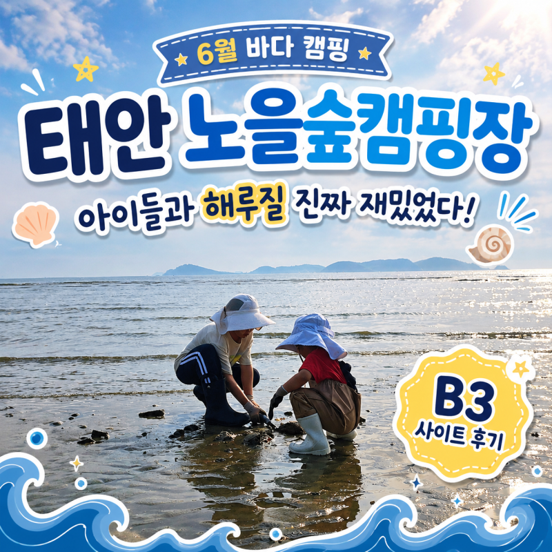 태안 노을숲캠핑장 B3 사이트 후기｜바다뷰·해루질 가능한 6월 태안 캠핑장