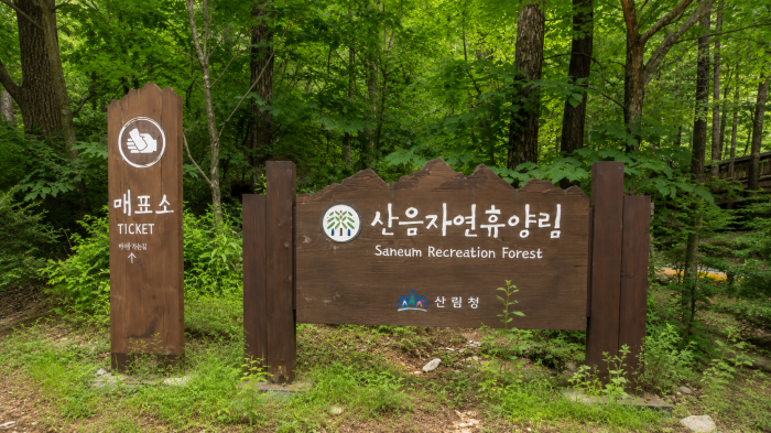 양평 숲길에 들어가니 계곡 소리부터 달랐습니다, 하룻밤 자지 않아도 좋은 산음자연휴양림