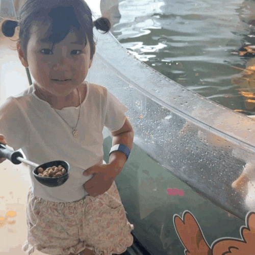 파주 야당 놀거리 가득한 테이블에이 아이와 실내동물원 다녀온 후기