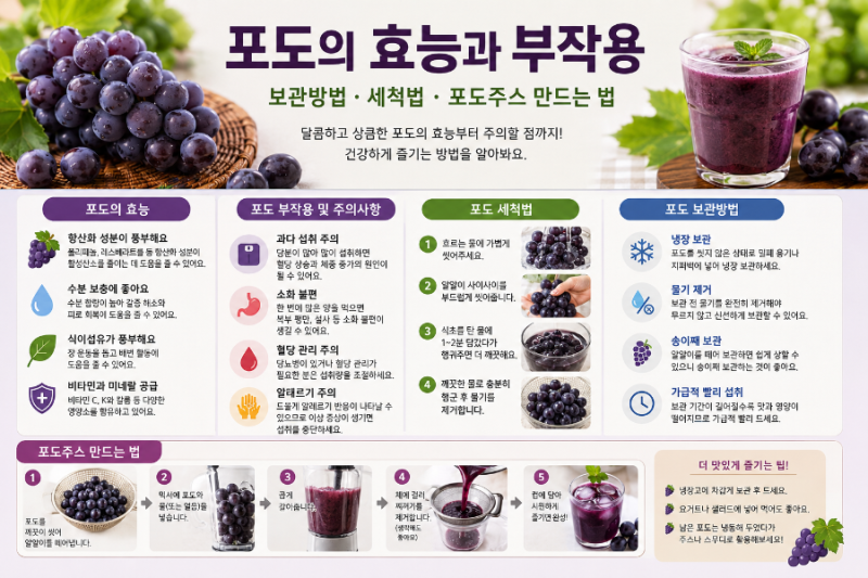 포도 효능부터 부작용까지! 올바른 세척법·보관법·포도주스 만드는 법