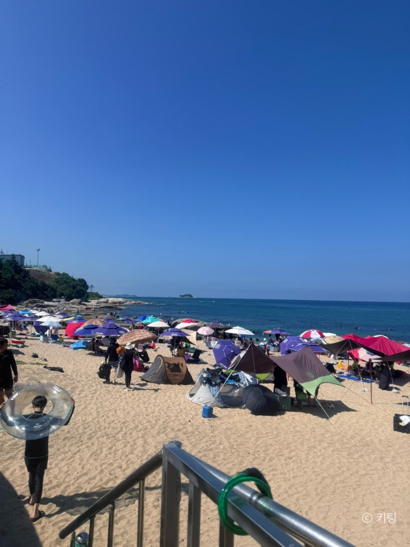 Sokcho Jangsa Port Snorkeling: So Many Fish! A Great Water Play Spot for Kids