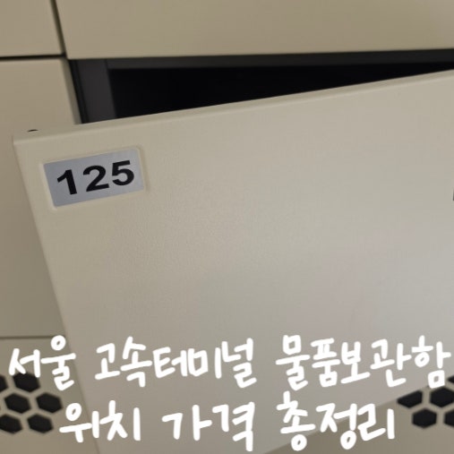 서울 고속터미널 물품보관함 위치 가격 총정리｜캐리어 짐보관 어디서 하지?
