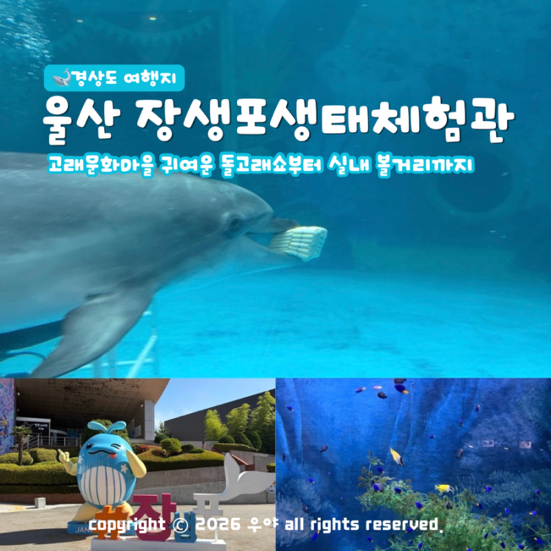 울산 실내 볼거리 장생포 고래생태체험관 돌고래쇼 시간표 주차 위치는?