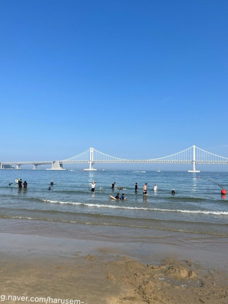 26.08 방문 | 부산 광안리 해수욕장 개인 파라솔 설치 구간에서 대여료 0원으로 즐기기 (위치, ....