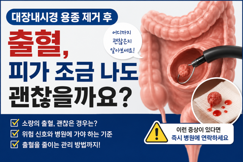 대장내시경 용종 제거 후 출혈, 피가 조금 나도 괜찮을까요?