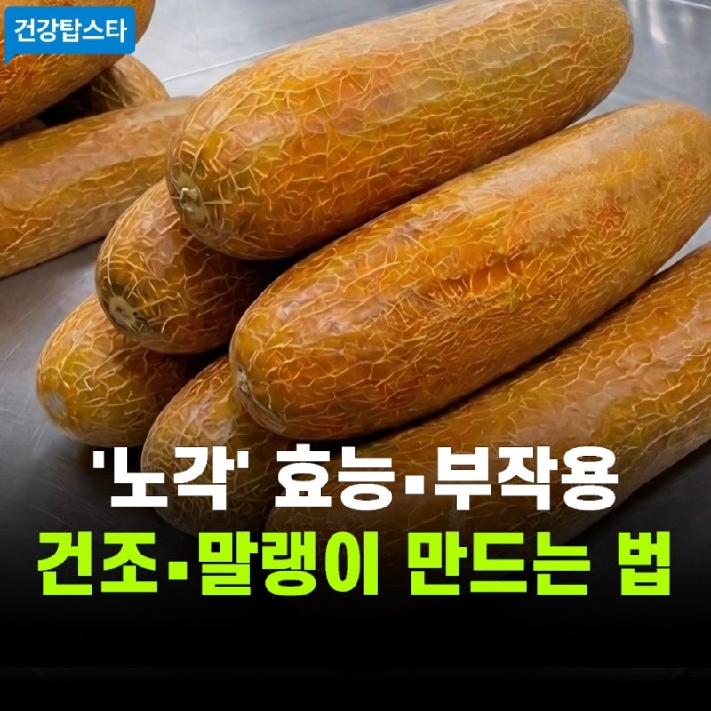 노각 효능과 부작용, 쓴맛 빼는 법, 건조 말랭이 만드는 법