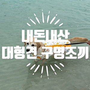 내돈내산 위니즈 강아지 구명조끼 추천(대형견,턱받침형)