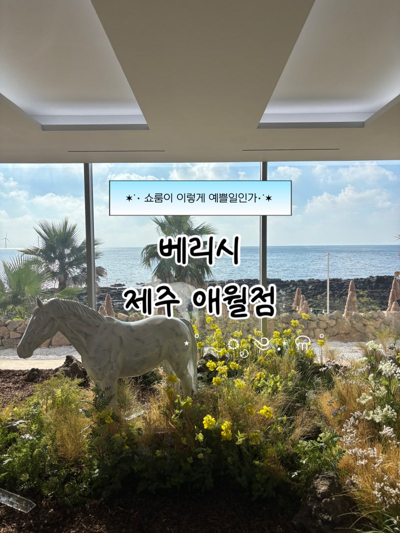 제주 베리시 애월 가볼만한곳, 베리시 매장 피팅룸부터 쇼핑 후기
