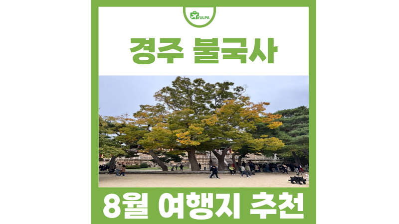 8월 여행지 추천 경주 가볼만한곳 경주 불국사 주차장 입장료