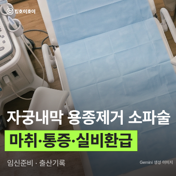 30대 후반 임신 준비, 자궁내막 용종 제거 소파술 후기(사이토텍 부작용, 마취, 통증, 실비 환....