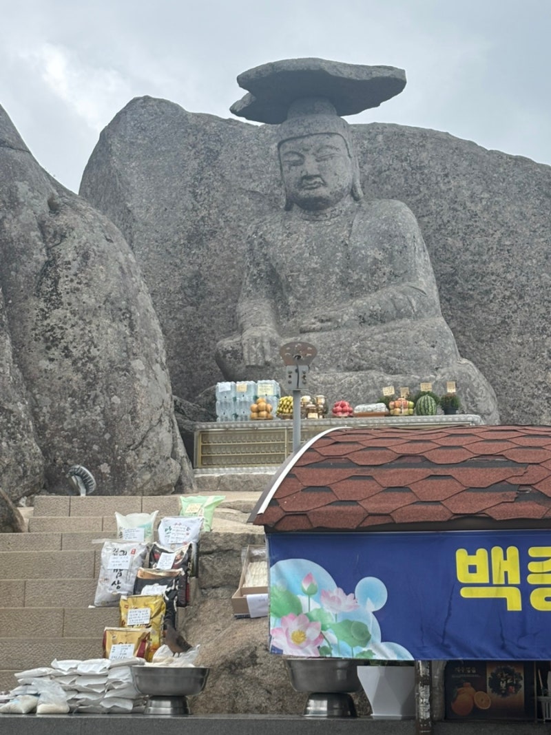 [팔공산] 간절한 소원 빌러 다녀온 갓바위! 쉽게 올라가는 꿀팁 & 최신 공사 현황 (수능 100일 ....