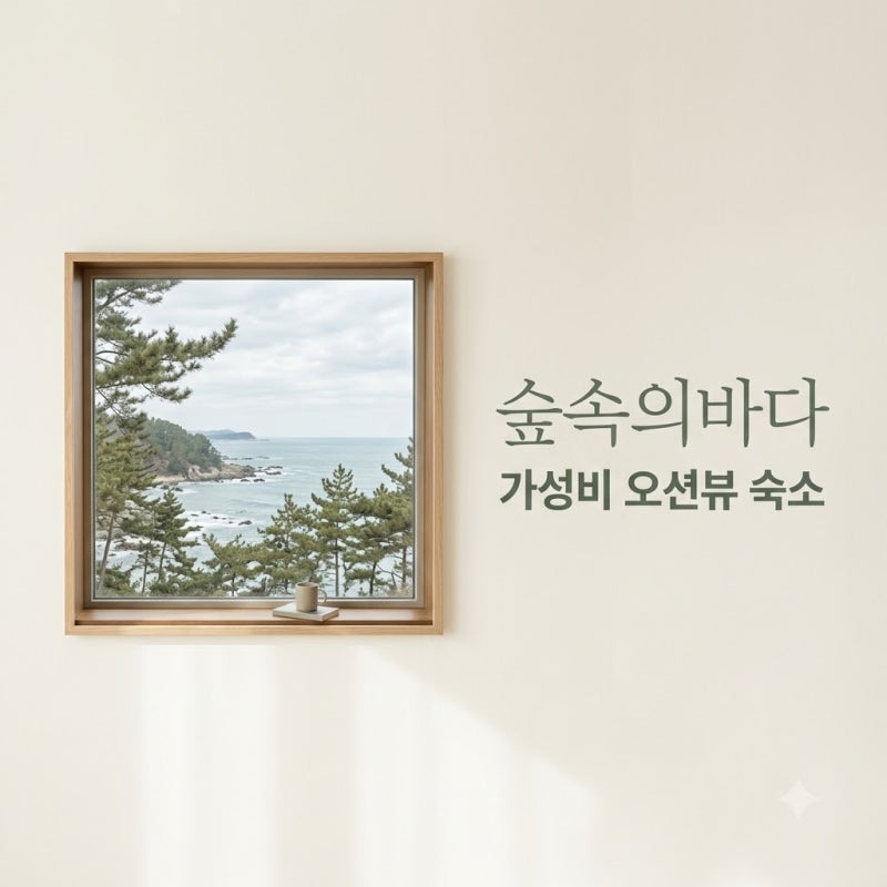 "숲이야 바다야?" 태안숲속의바다 직접 가보고 정체 확인한 사연..