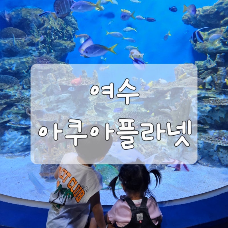 여수 아이와 가볼만한곳 아쿠아플라넷