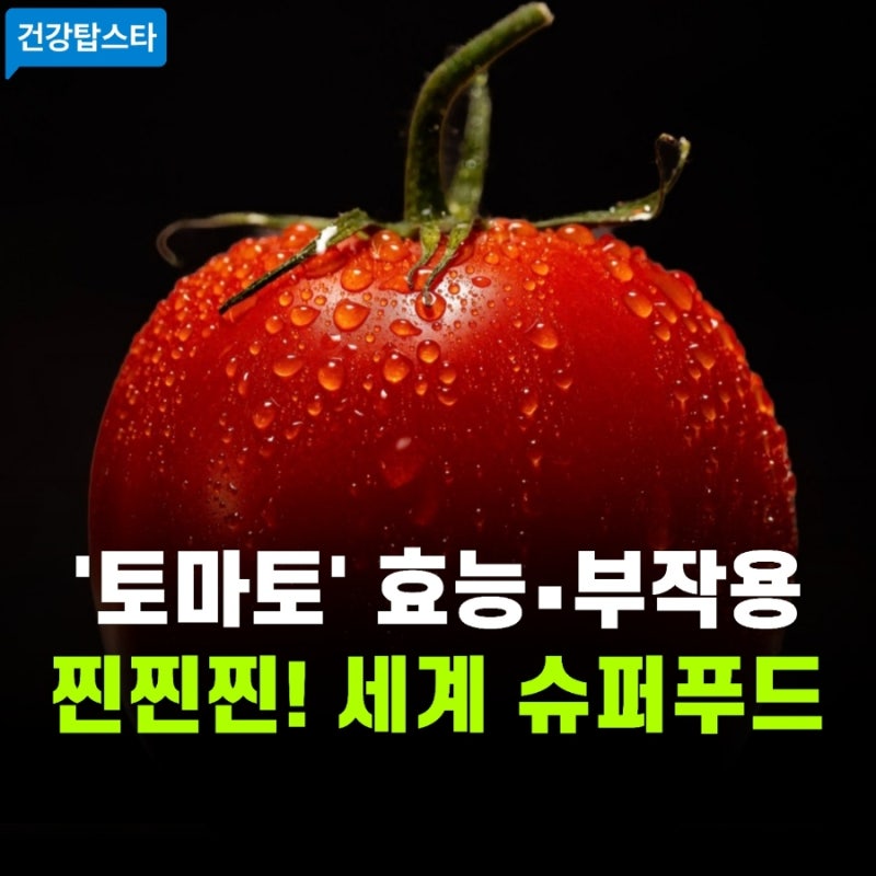 토마토 효능과 부작용, 제대로 알고 먹는 올바른 보관 조리법