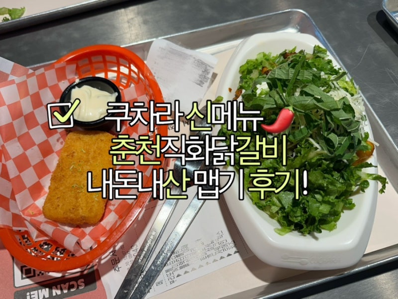 [광화문 맛집] 쿠차라 / 춘천직화닭갈비 부리또볼 / 출시 기념 치즈스틱 무료! / 맵기 내돈내....