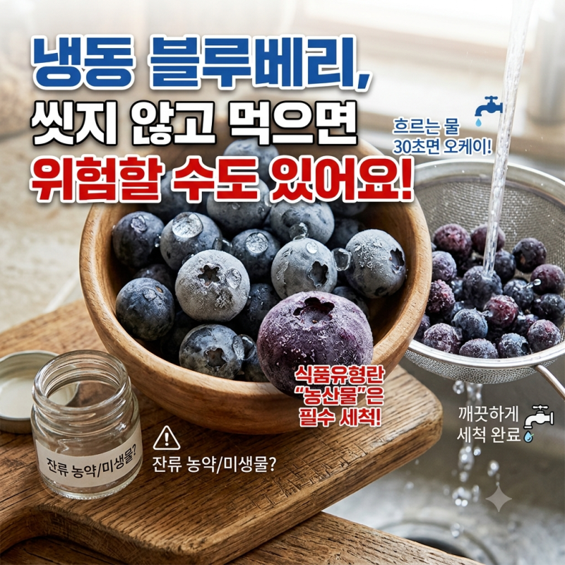 냉동 블루베리 세척 여부, 과채가공품 농산물 차이 정리