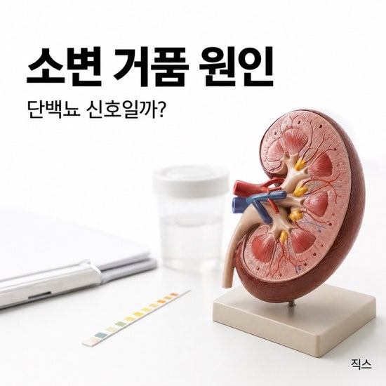 소변 거품 원인, 물을 내려도 반복된다면 “단백뇨”부터 확인하세요