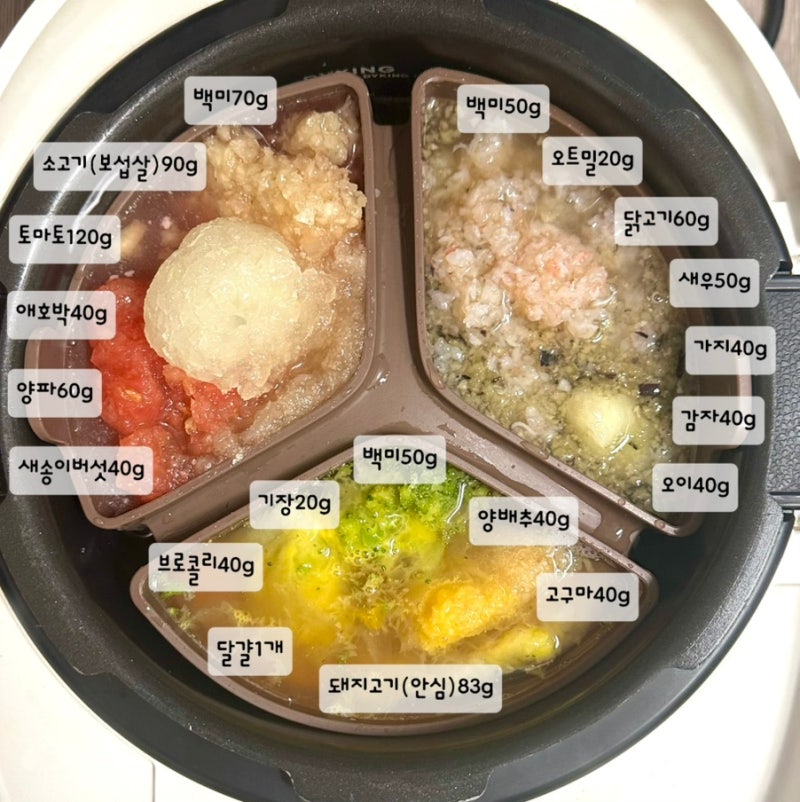 9개월 아기 후기 이유식 식단표｜밥솥 이유식 3일치 레시피 & 육아 기록