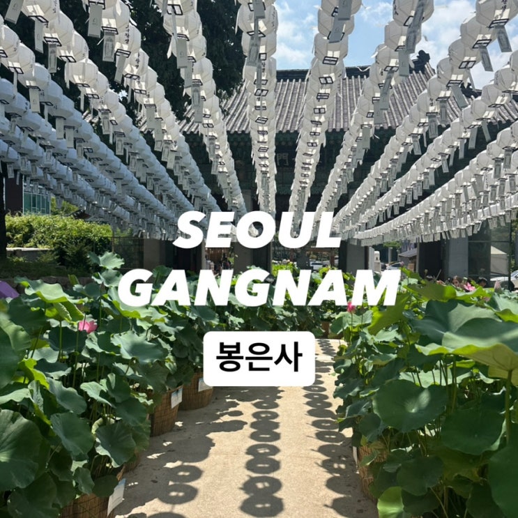 <b>봉은사</b> 데이트 주차장 카페 굿즈샵 공양간 총정리 재물운 명당
