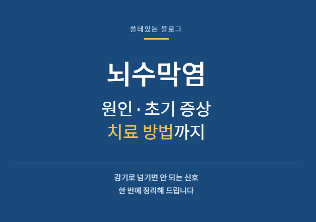뇌수막염 원인과 초기 증상, 치료 방법 및 사용되는 약 총정리