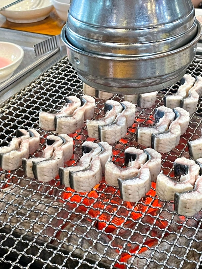 일산 여자만 숯불장어구이 | 일산 장어구이 맛집 고양시 장어 맛집 말복 몸보신 추천 내돈내....