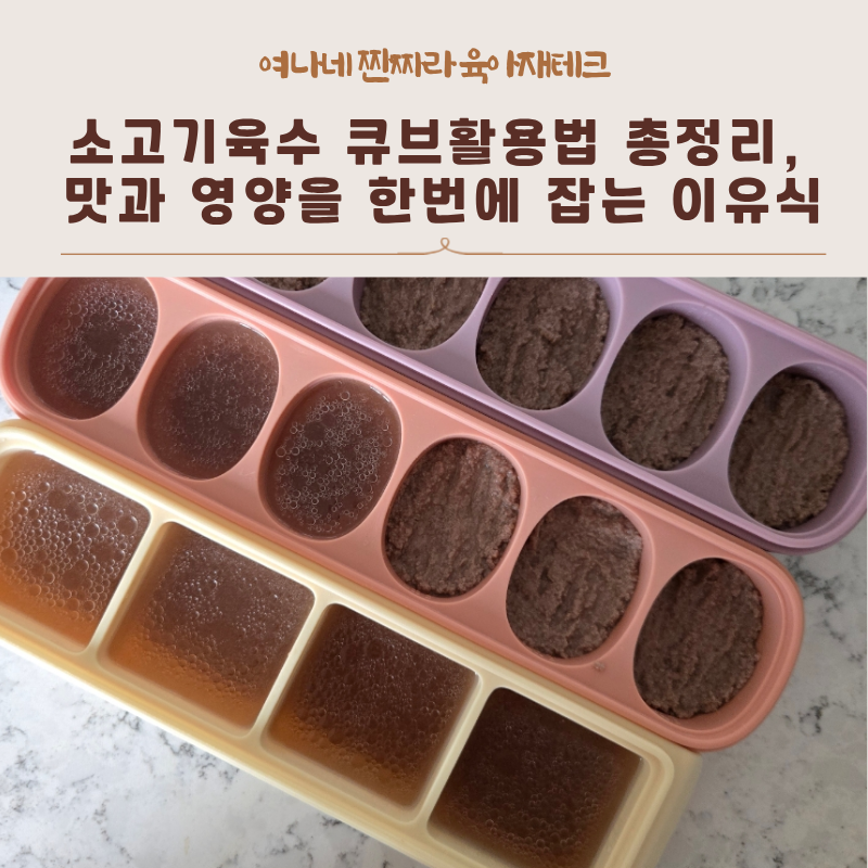 [아기이유식 꿀팁] 소고기육수 큐브활용법 총정리, 맛과 영양을 한번에 잡는 이유식만들기