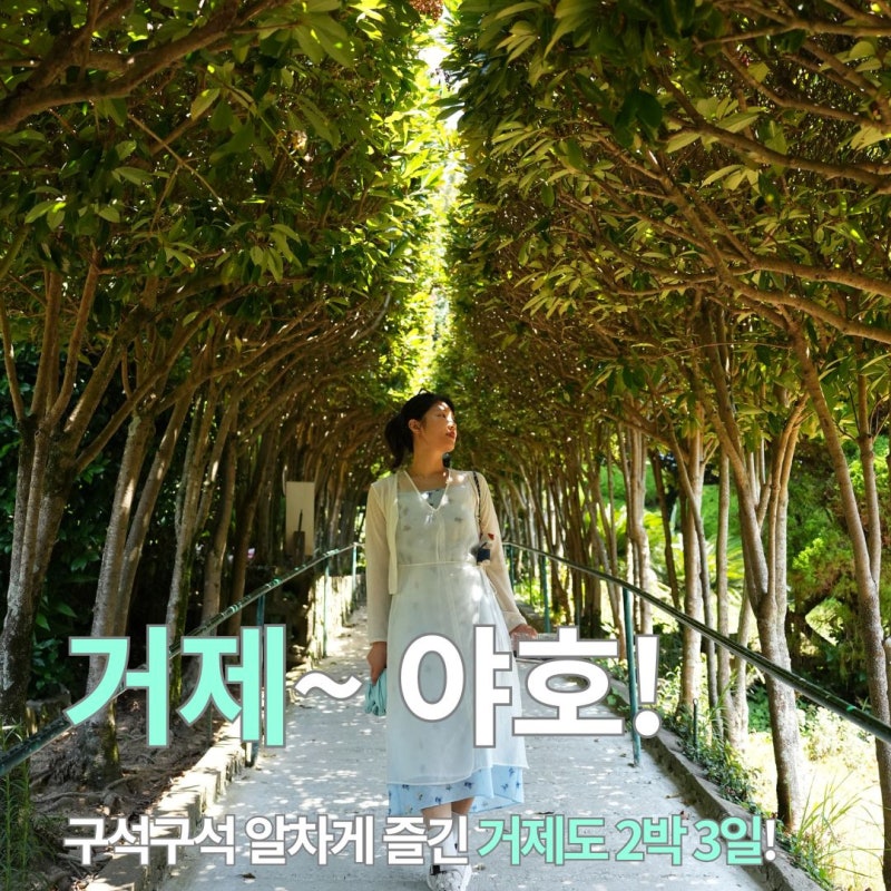 Geoje Island Trip Part 2: Enjoying Every Corner of Geoje Island! Recommended Geoje Island Attractions!